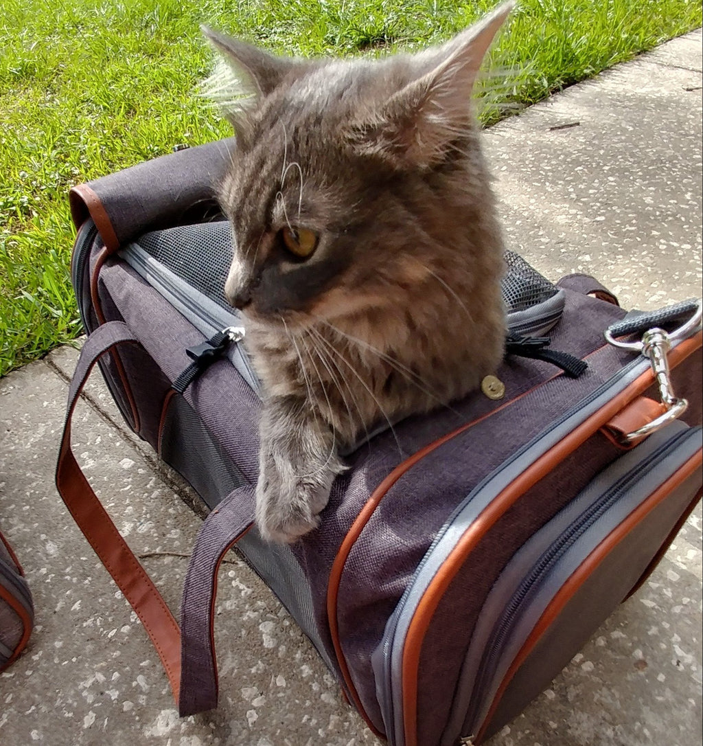 Mr. Peanut's Gold Series Airline Pet Carrier