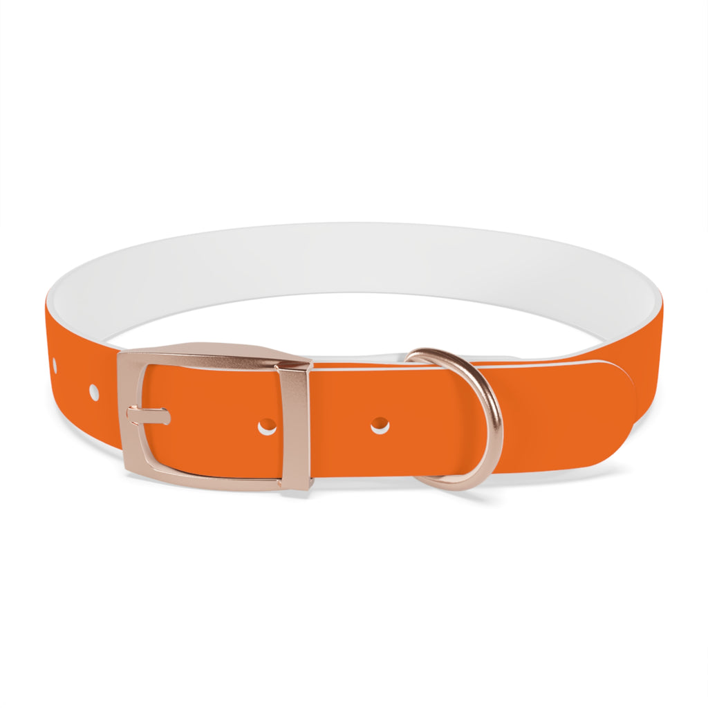 Waterproof Dog Collar | Orange