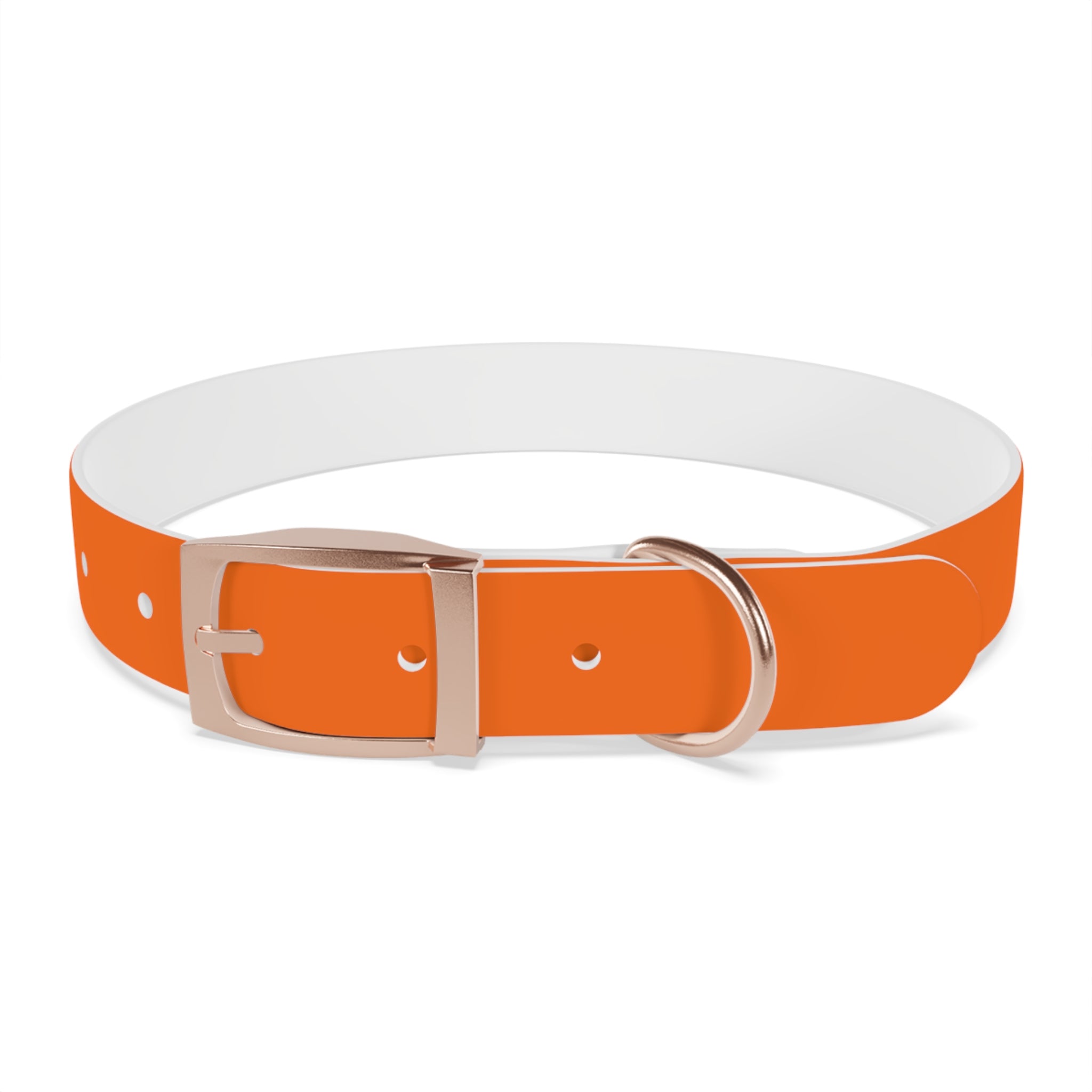 Waterproof Dog Collar | Orange
