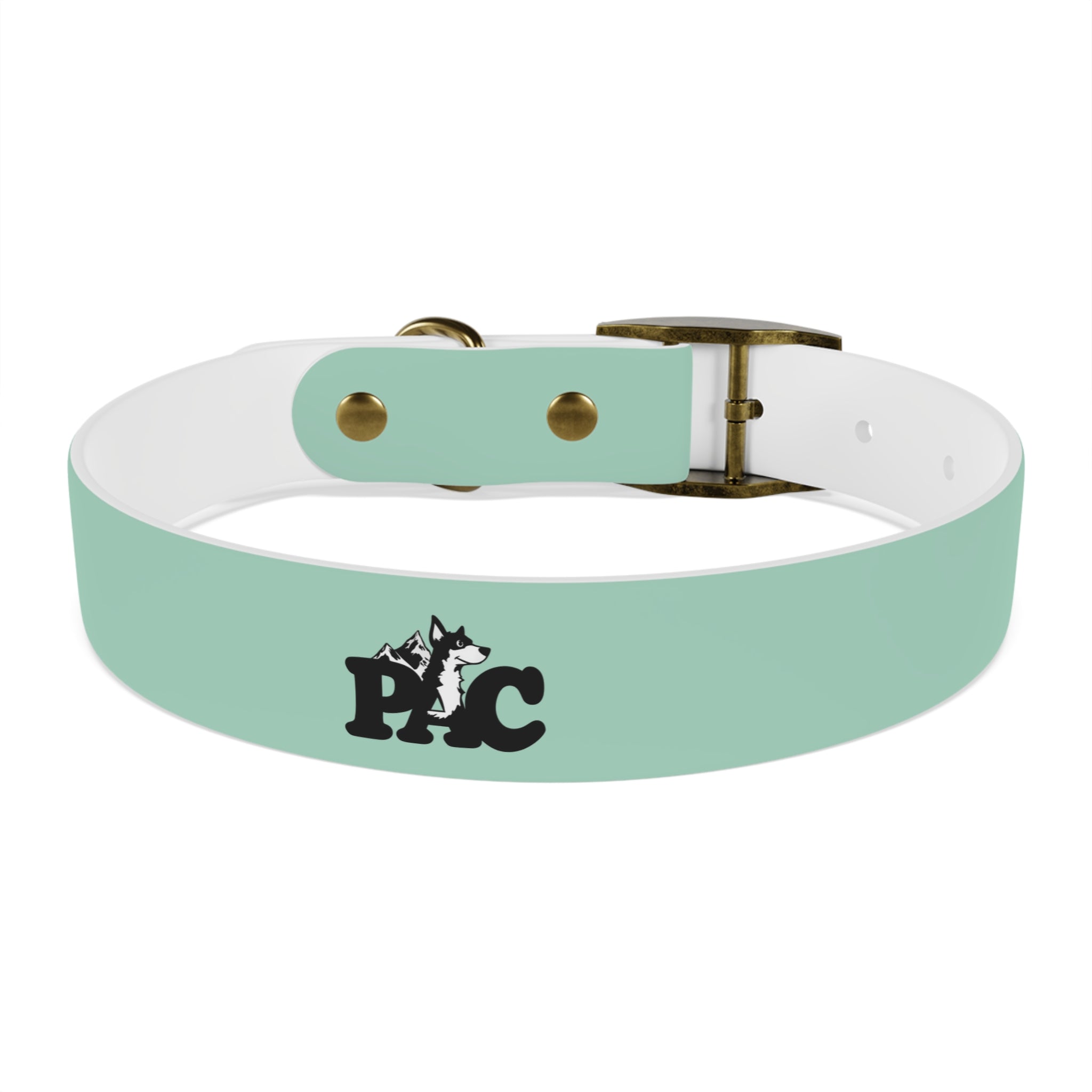Waterproof Dog Collar | Mint