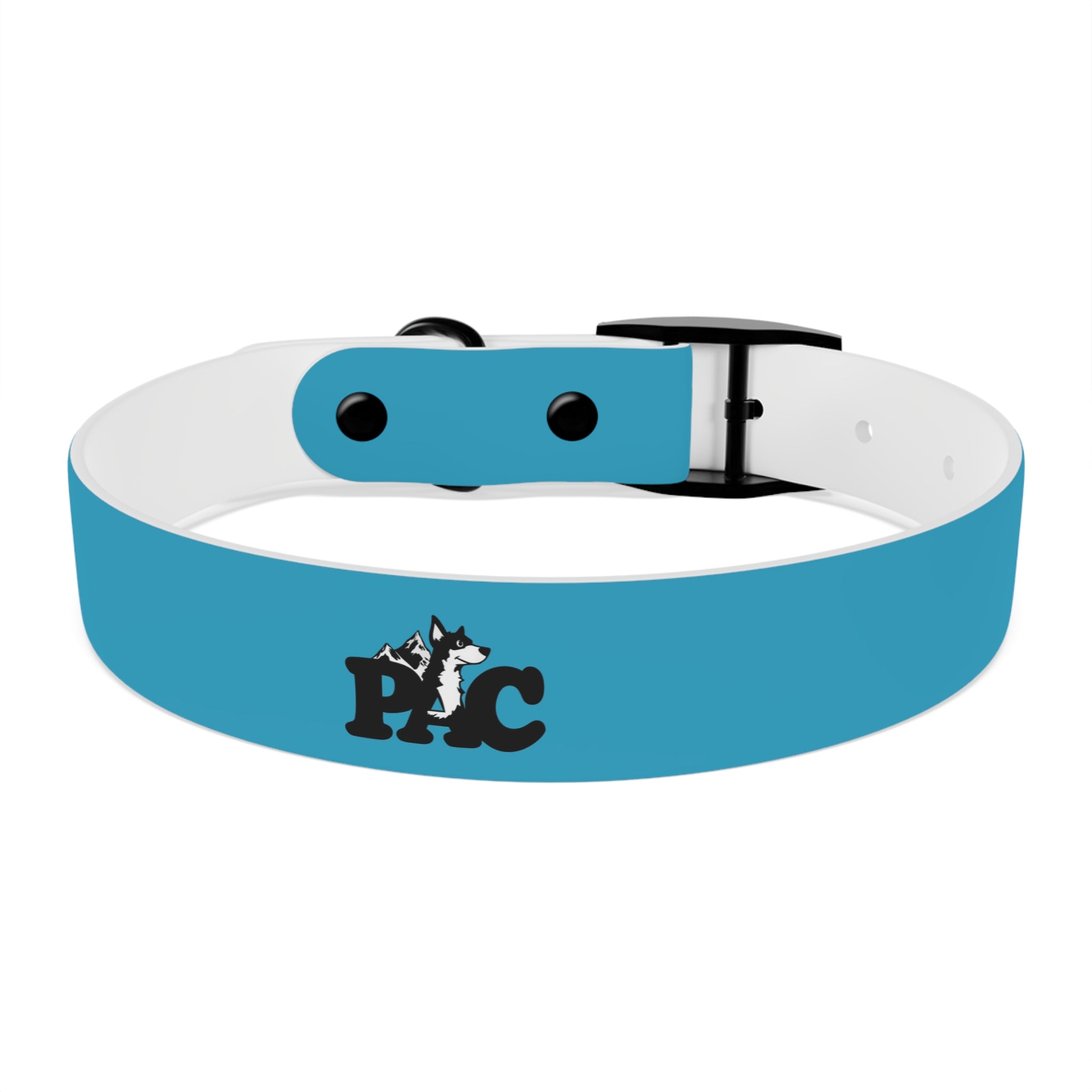Waterproof Dog Collar | Turquoise