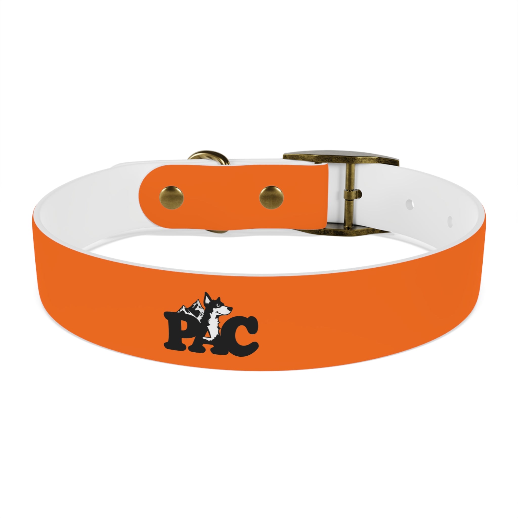 Waterproof Dog Collar | Orange
