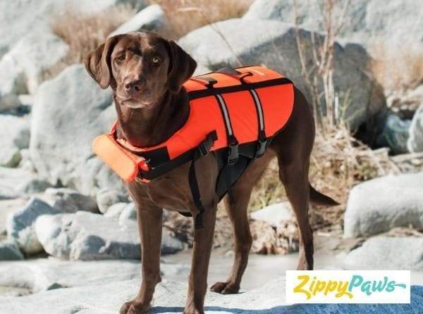 Life Jacket