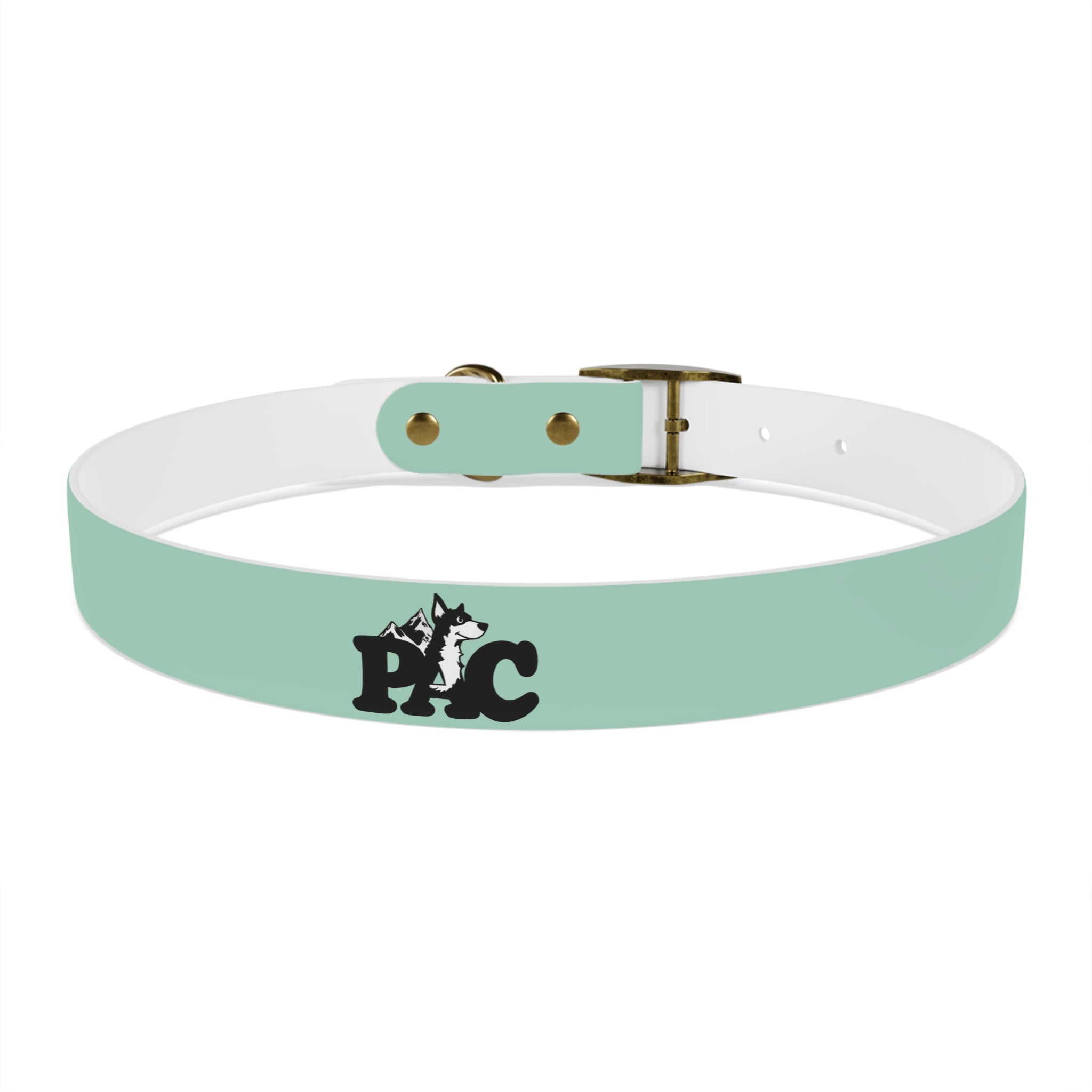 Waterproof Dog Collar | Mint