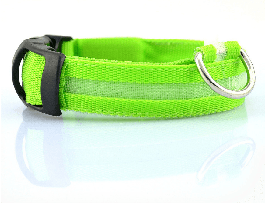 Luminous Glow-In-The-Dark Led Pet Collar