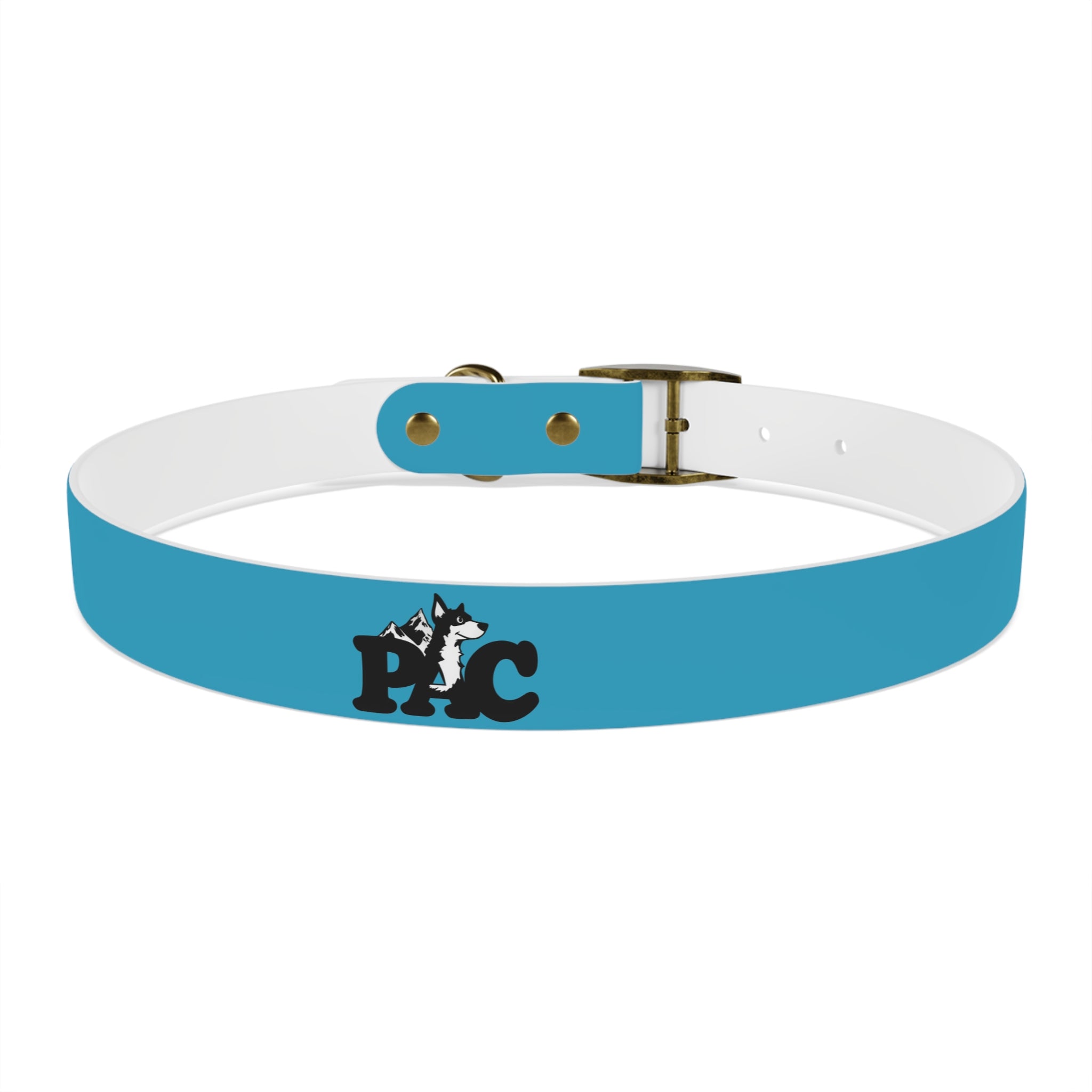 Waterproof Dog Collar | Turquoise