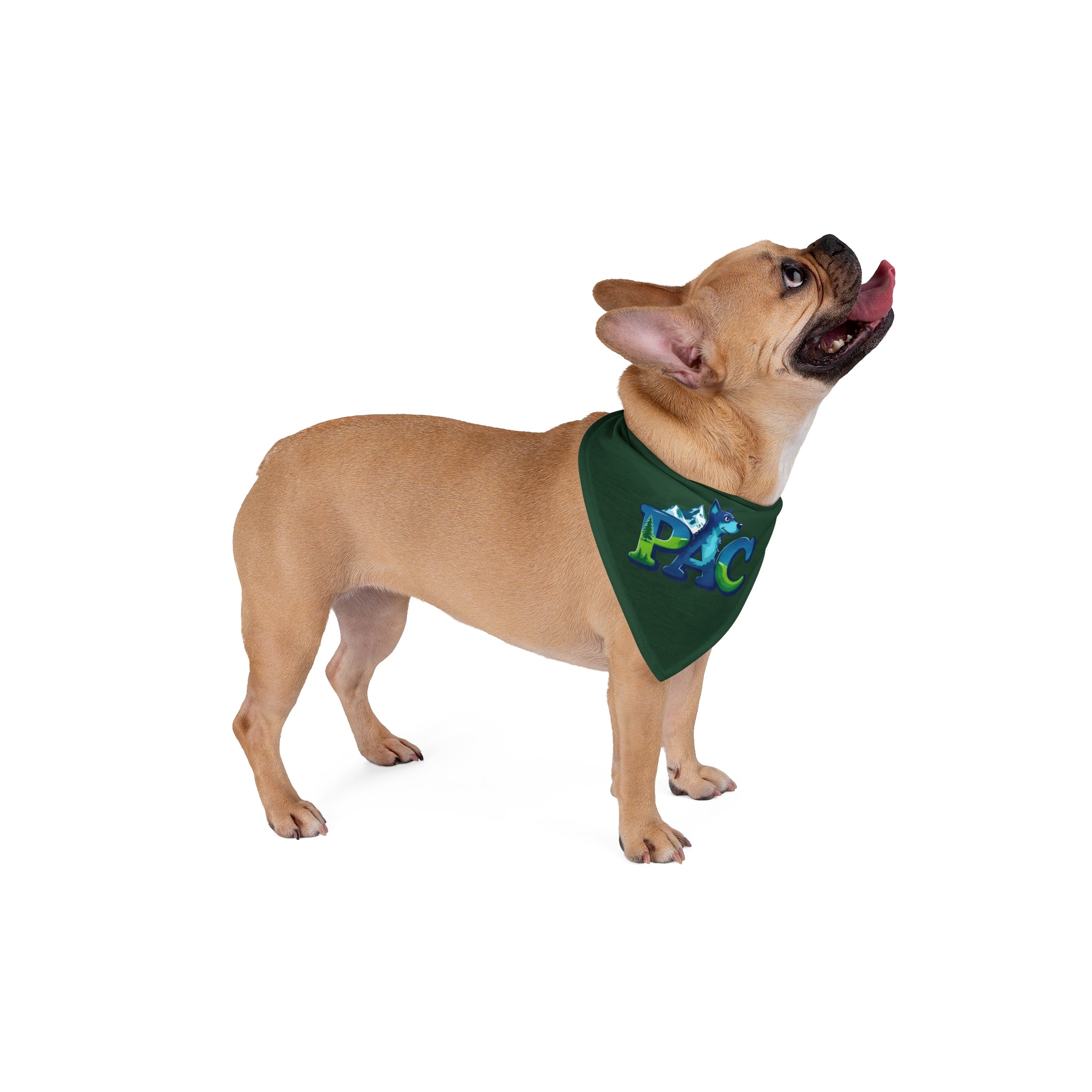 PAC | Dog Bandana | Green