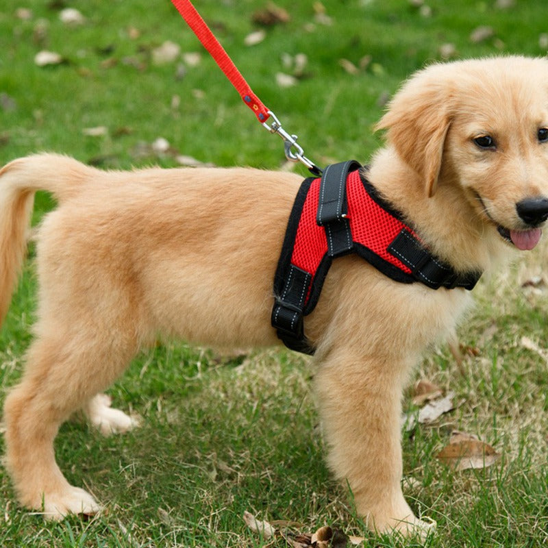 Explosion-Proof Net Cloth Dog Chest Harness