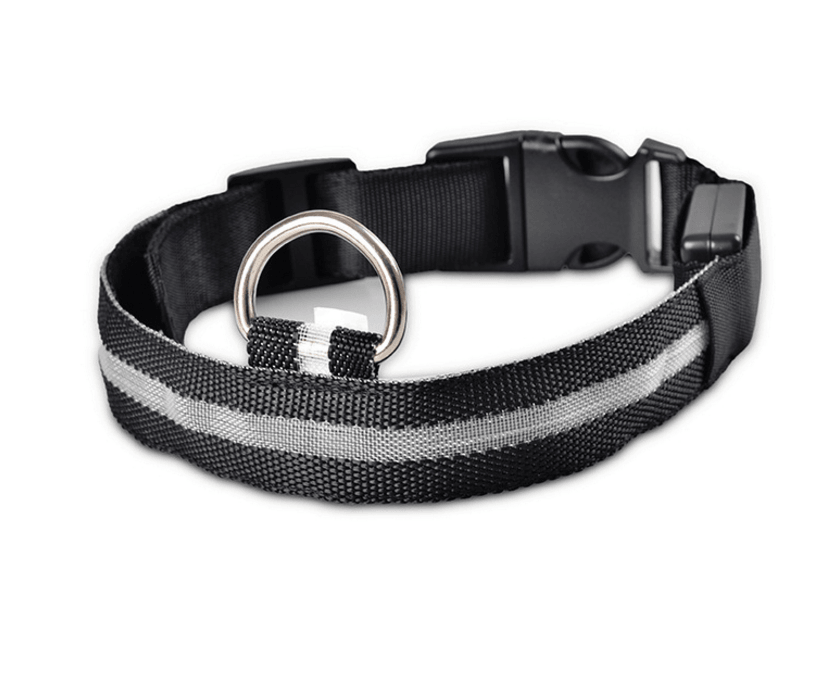 Luminous Glow-In-The-Dark Led Pet Collar