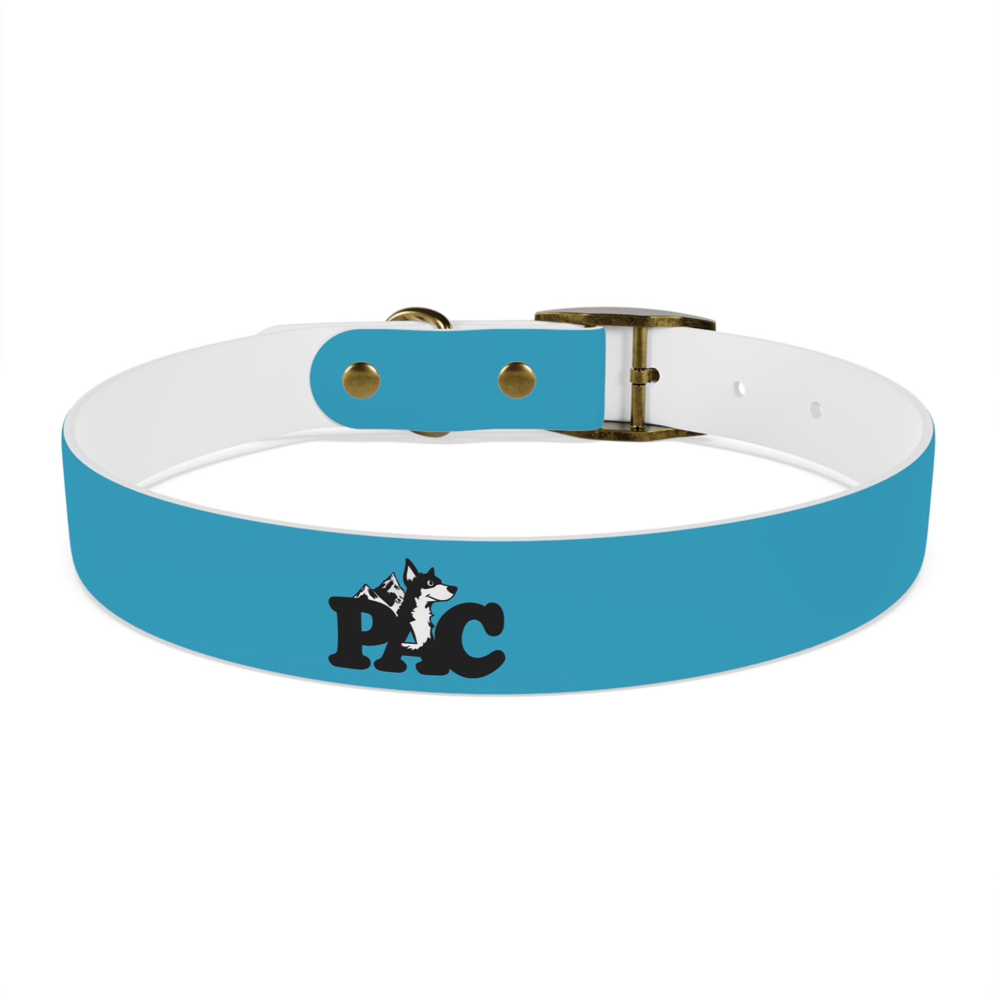 Waterproof Dog Collar | Turquoise