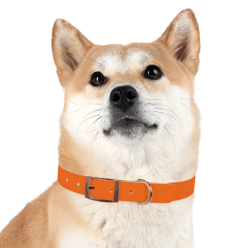 Waterproof Dog Collar | Orange
