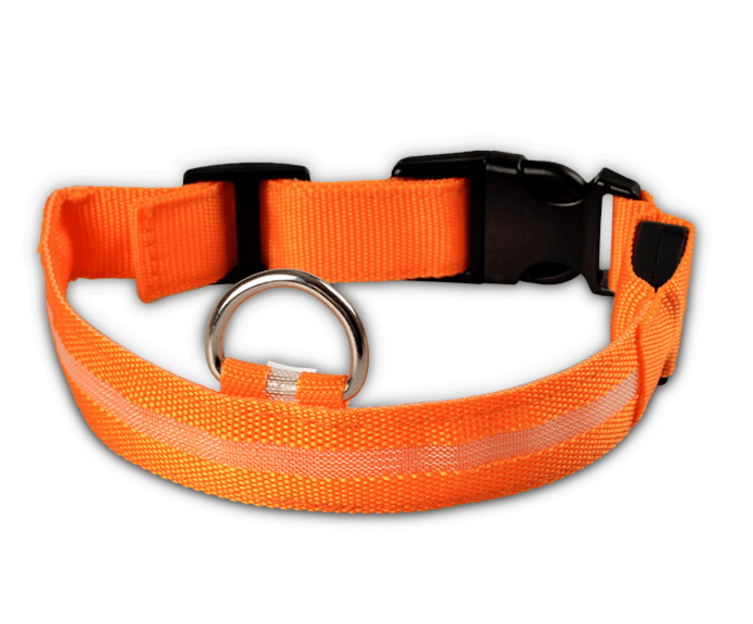 Luminous Glow-In-The-Dark Led Pet Collar
