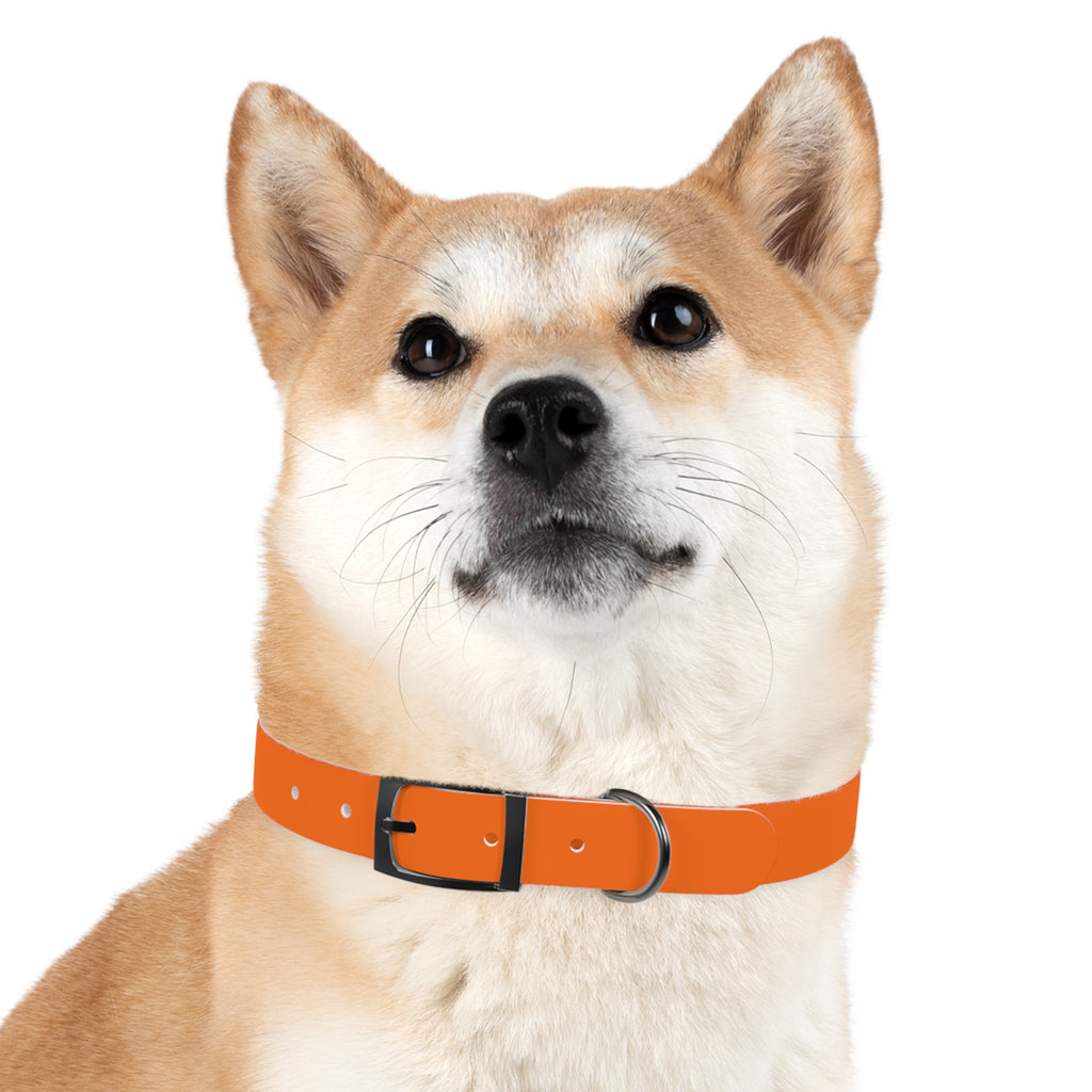Waterproof Dog Collar | Orange