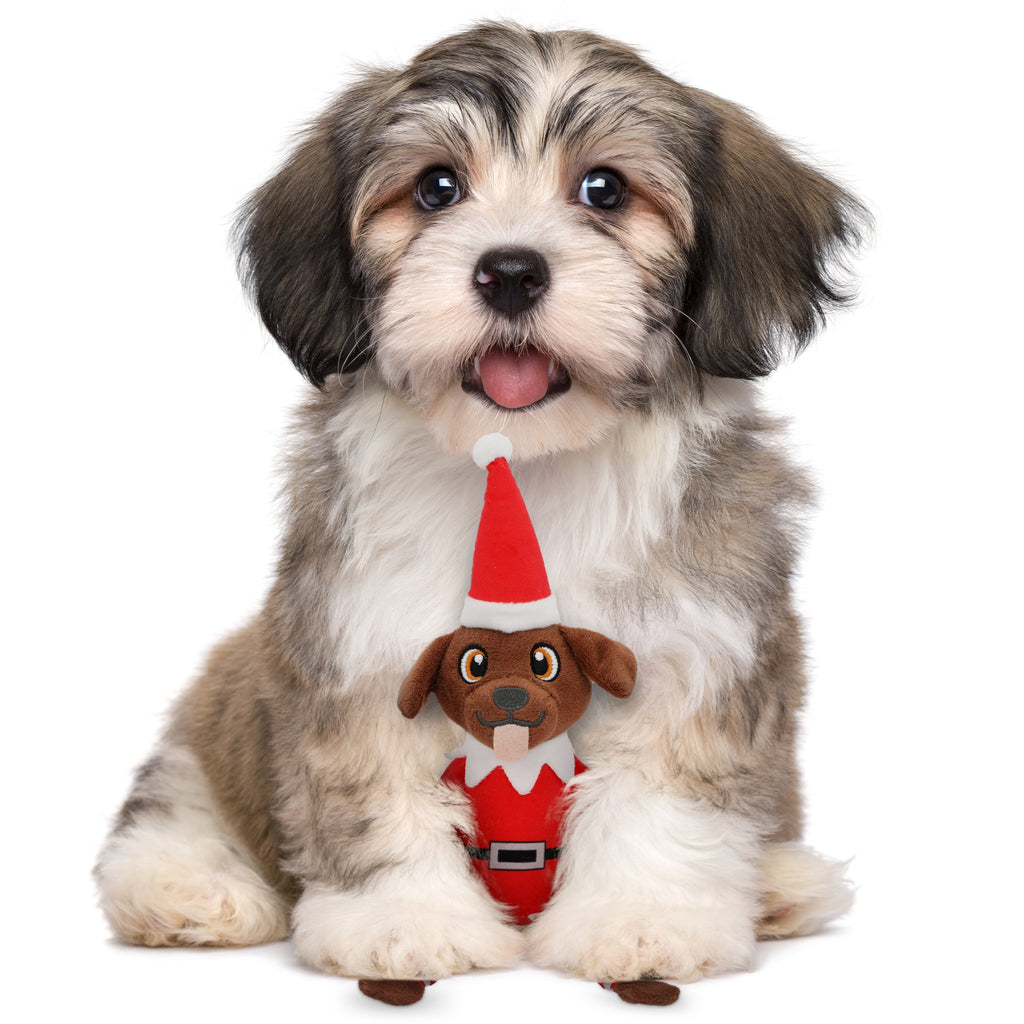 PUPROAR Pooch on a Perch | Elf Dog Toy