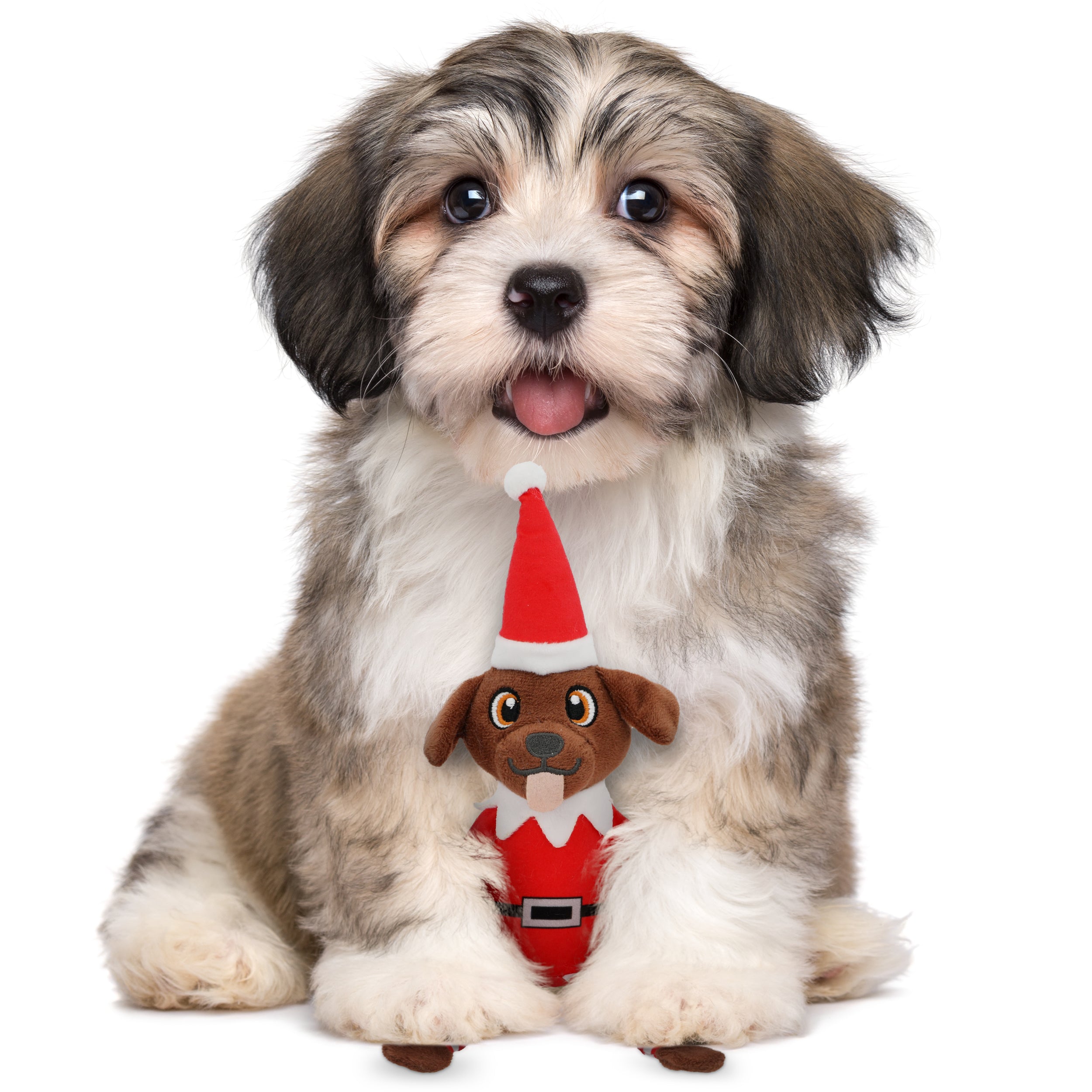 PUPROAR Pooch on a Perch | Elf Dog Toy