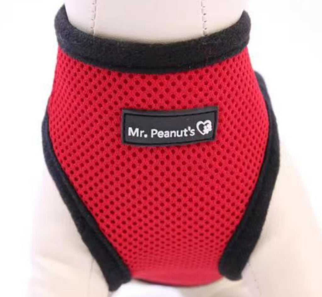 Mr. Peanut's Harness with Matching Leash