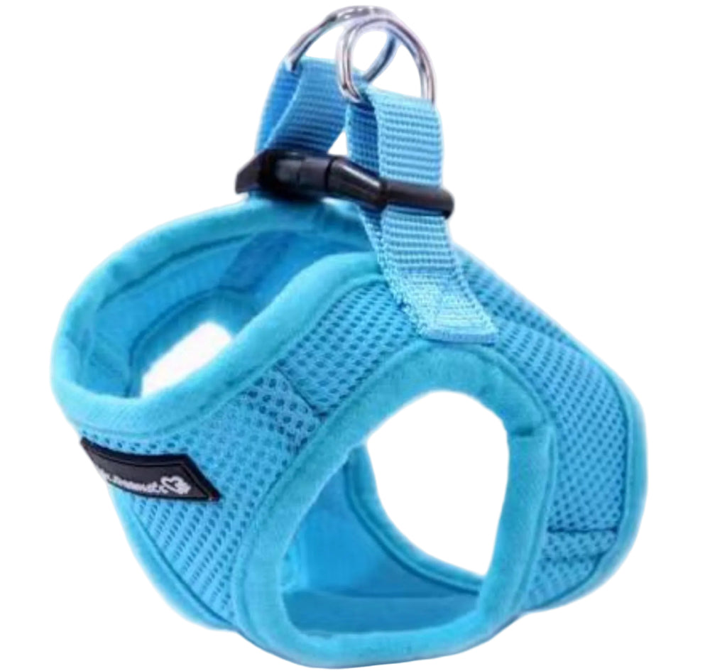 Mr. Peanut's Harness with Matching Leash