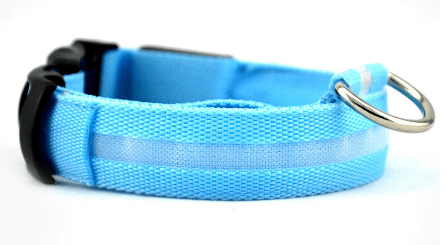 Luminous Glow-In-The-Dark Led Pet Collar
