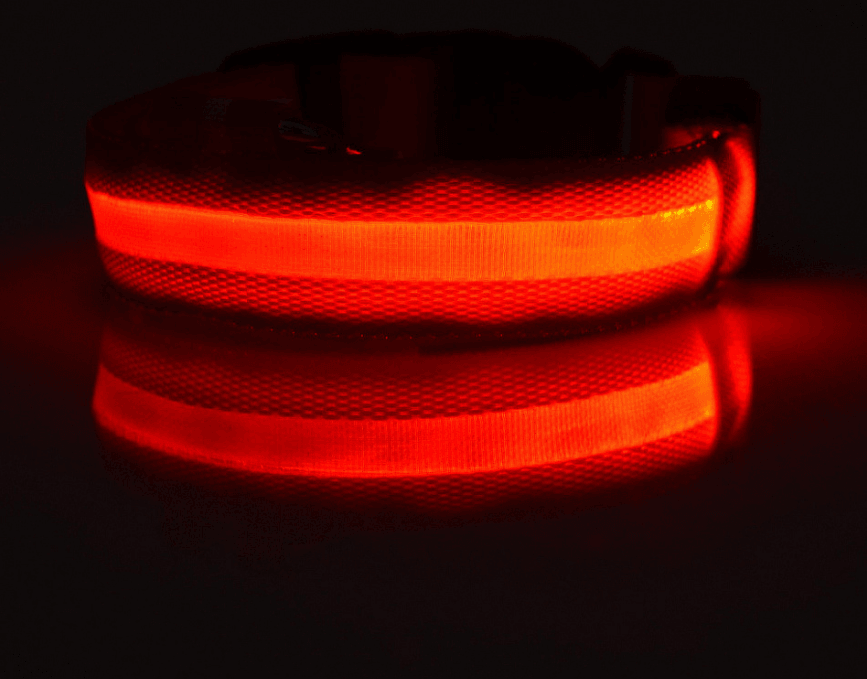 Luminous Glow-In-The-Dark Led Pet Collar