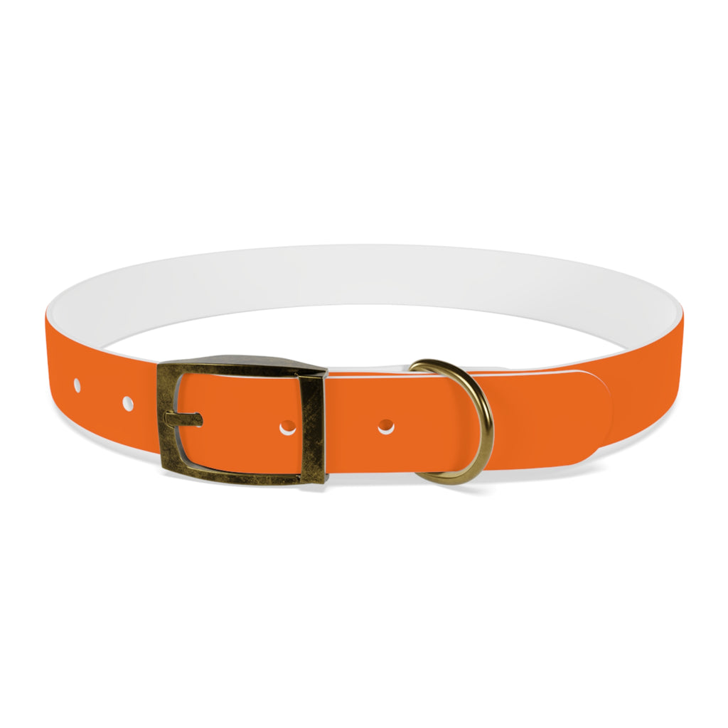 Waterproof Dog Collar | Orange
