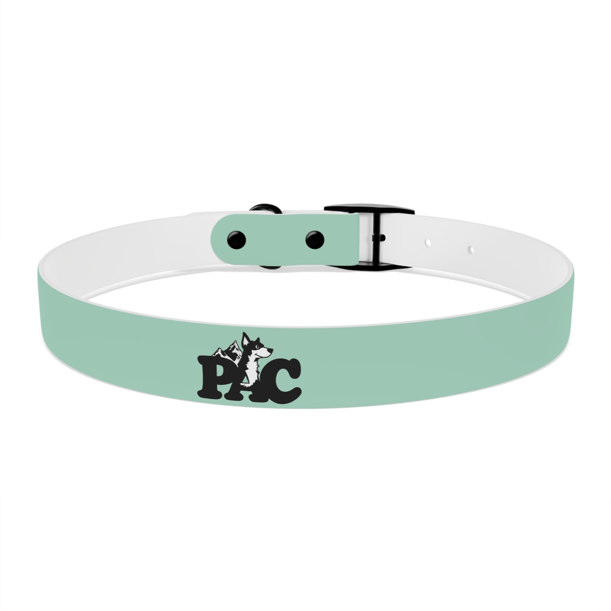 Waterproof Dog Collar | Mint