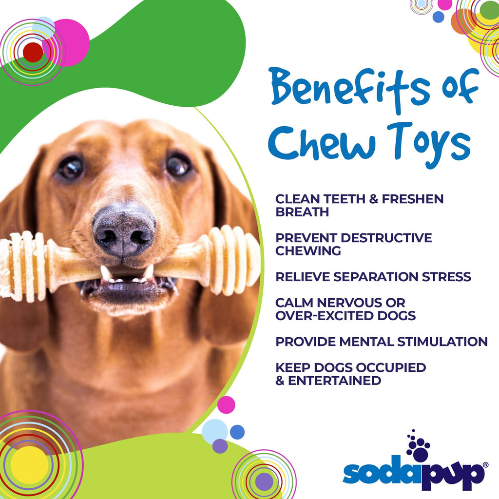 Honey Bone Nylon Dog Toy