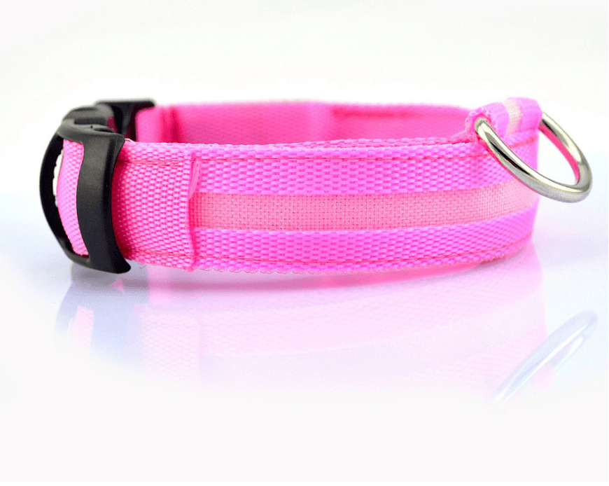 Luminous Glow-In-The-Dark Led Pet Collar