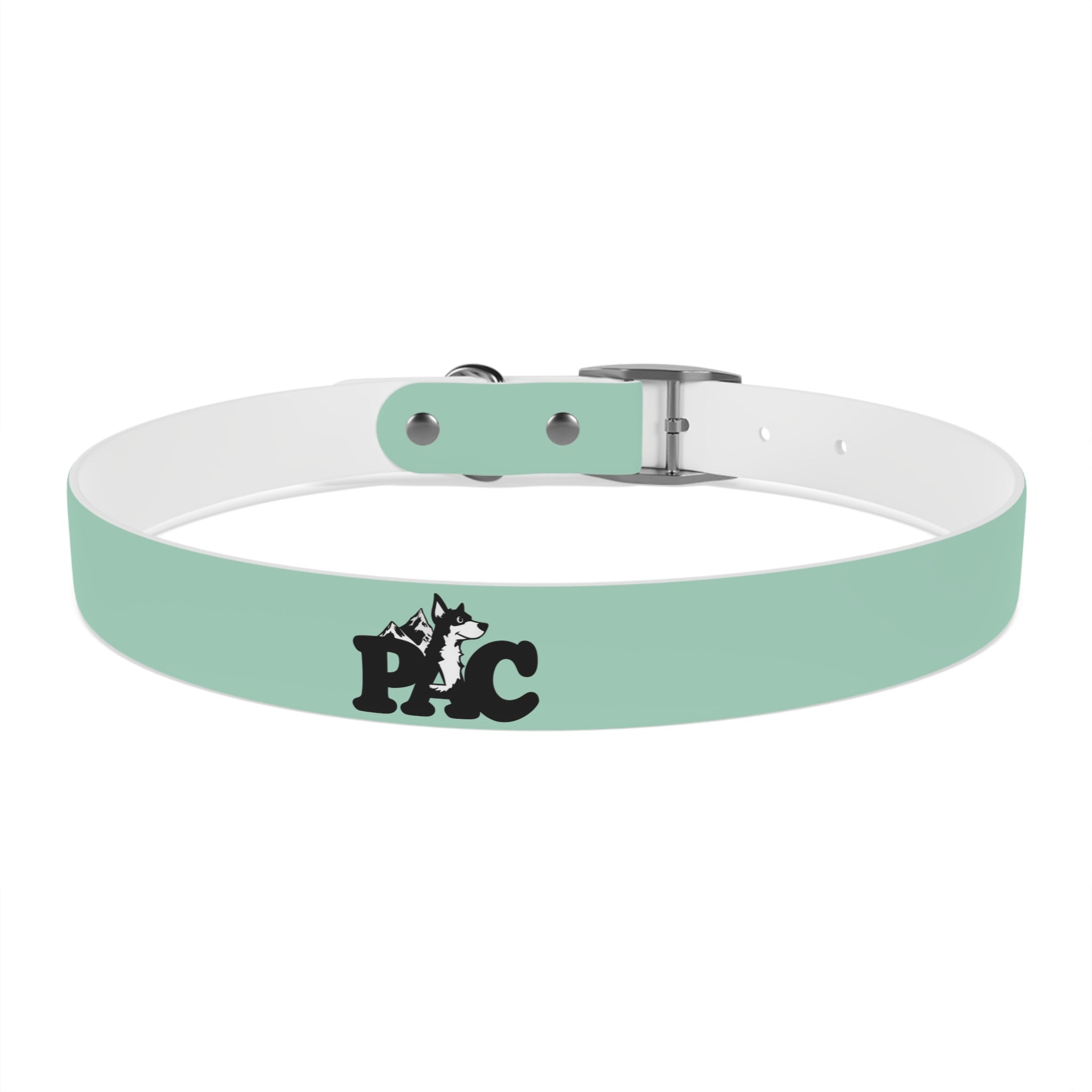 Waterproof Dog Collar | Mint