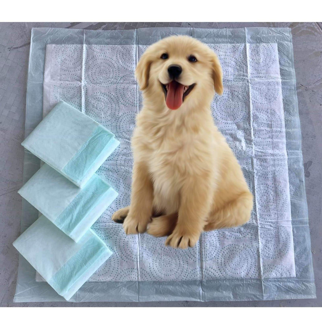 Mr. Peanut’s Premium Pee Pads 23"X23"