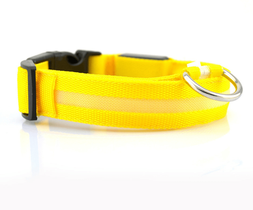 Luminous Glow-In-The-Dark Led Pet Collar