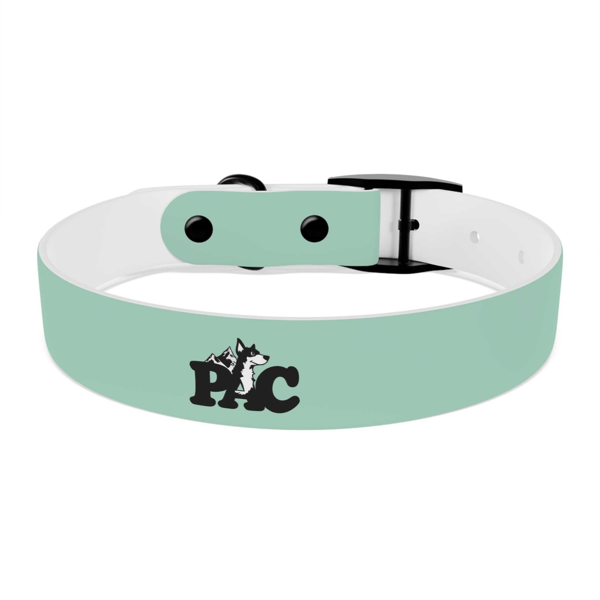 Waterproof Dog Collar | Mint