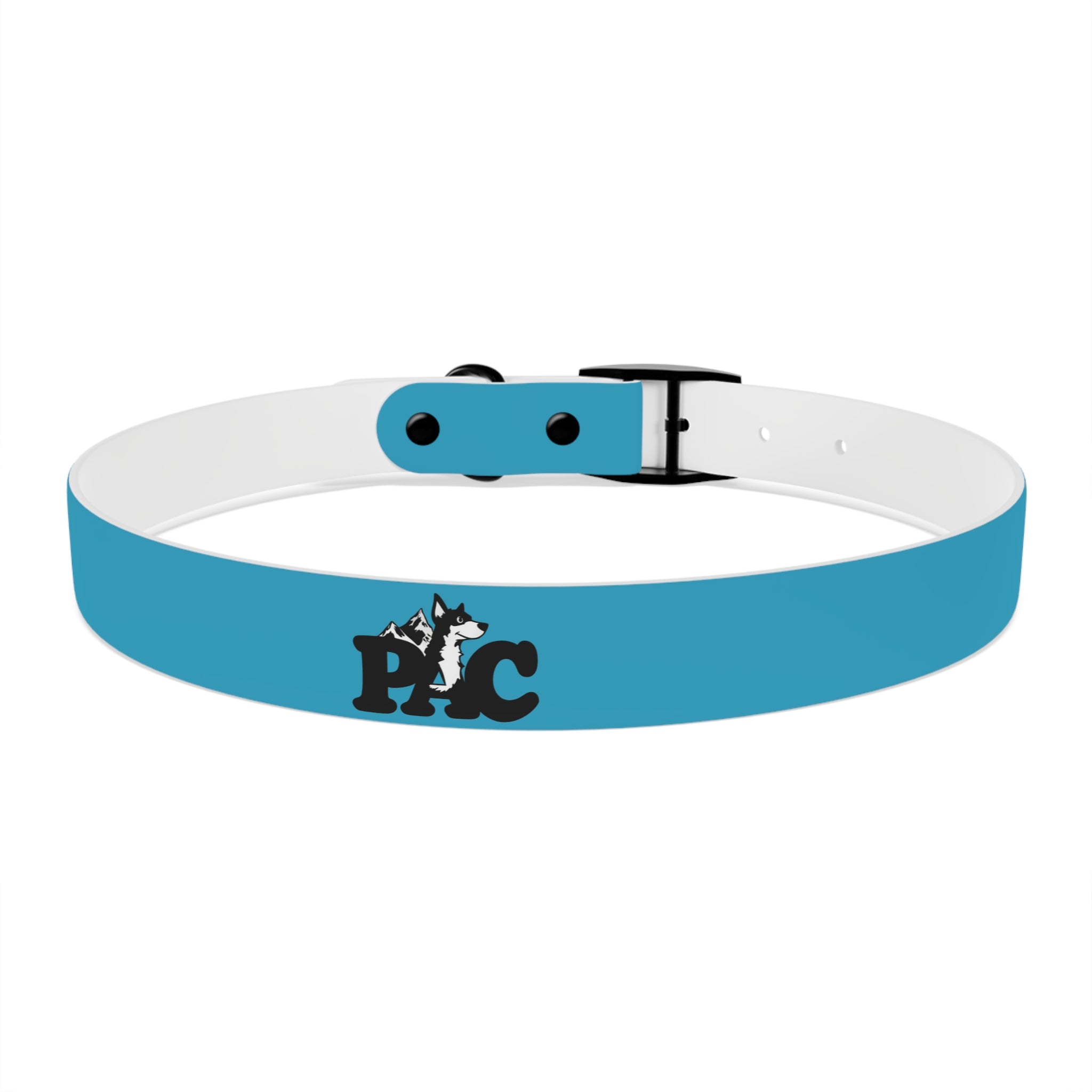 Waterproof Dog Collar | Turquoise