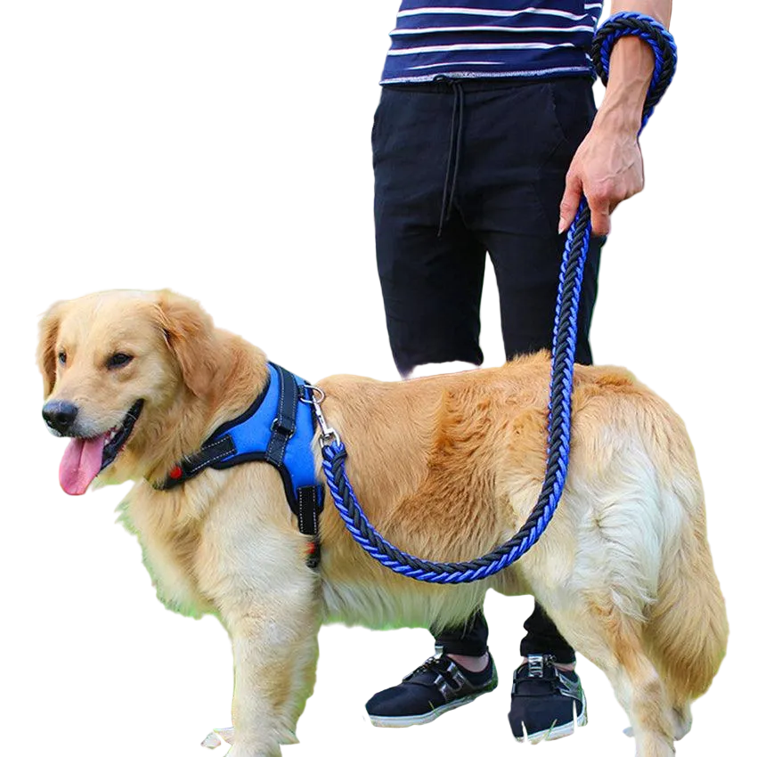 Ultimate Comfort Dog Harness