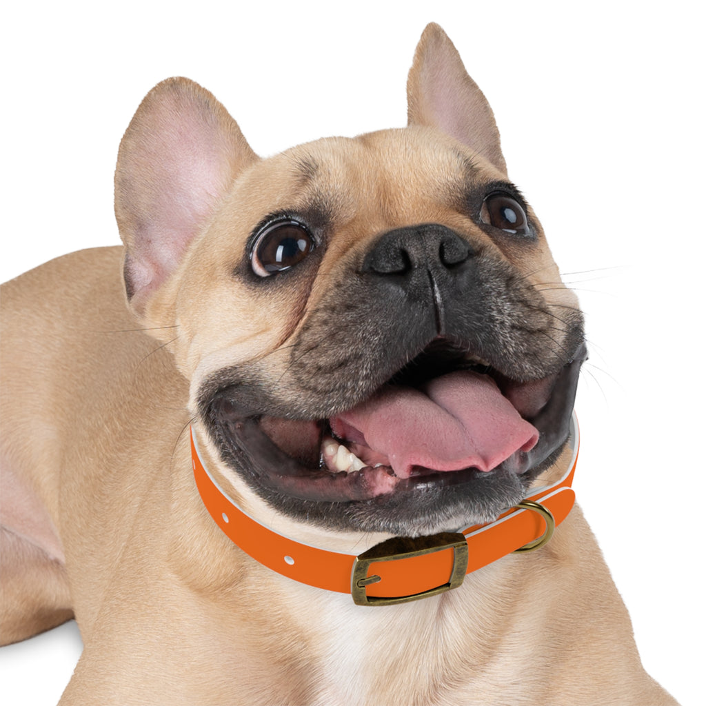Waterproof Dog Collar | Orange