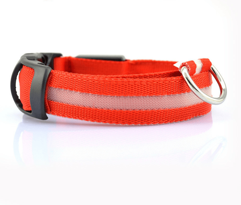Luminous Glow-In-The-Dark Led Pet Collar