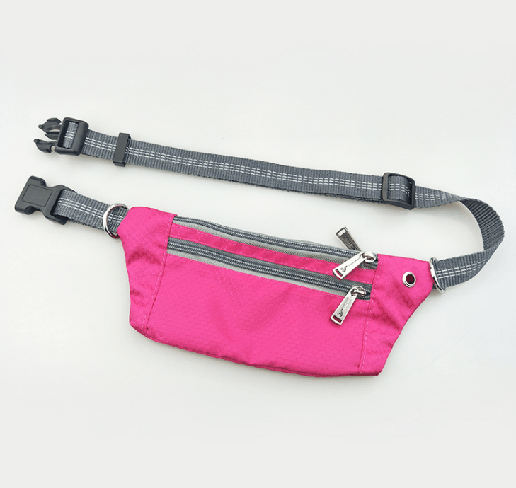 Hands-Free Dog Leash