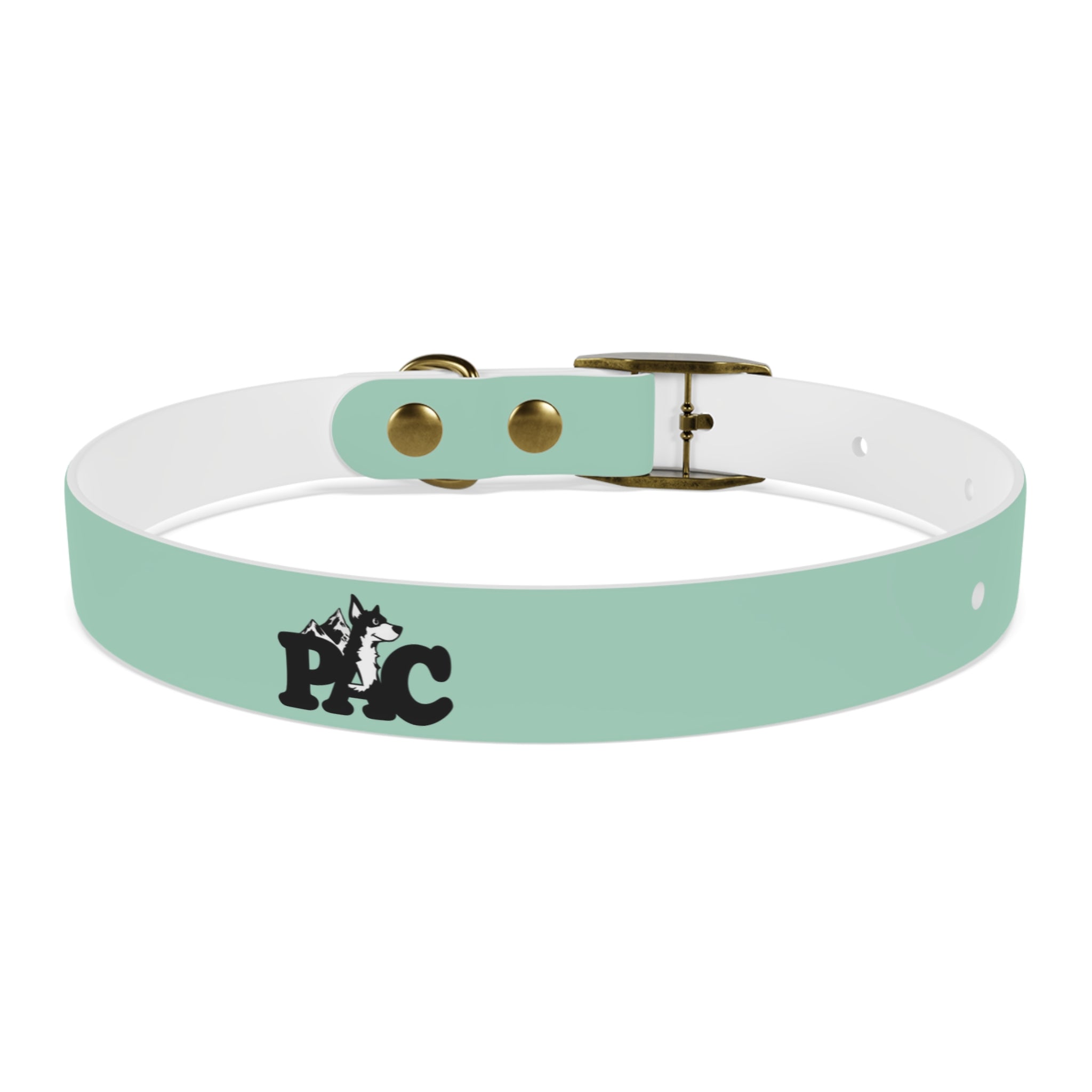 Waterproof Dog Collar | Mint