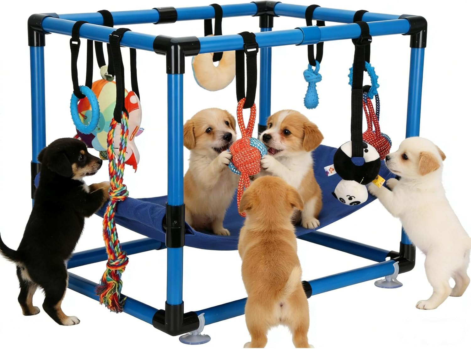 Indoor Puppy Play Gym with Hammock 8 Toys