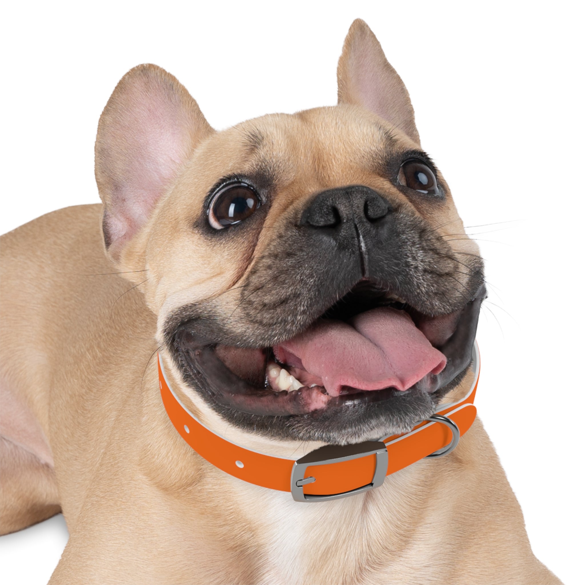 Waterproof Dog Collar | Orange