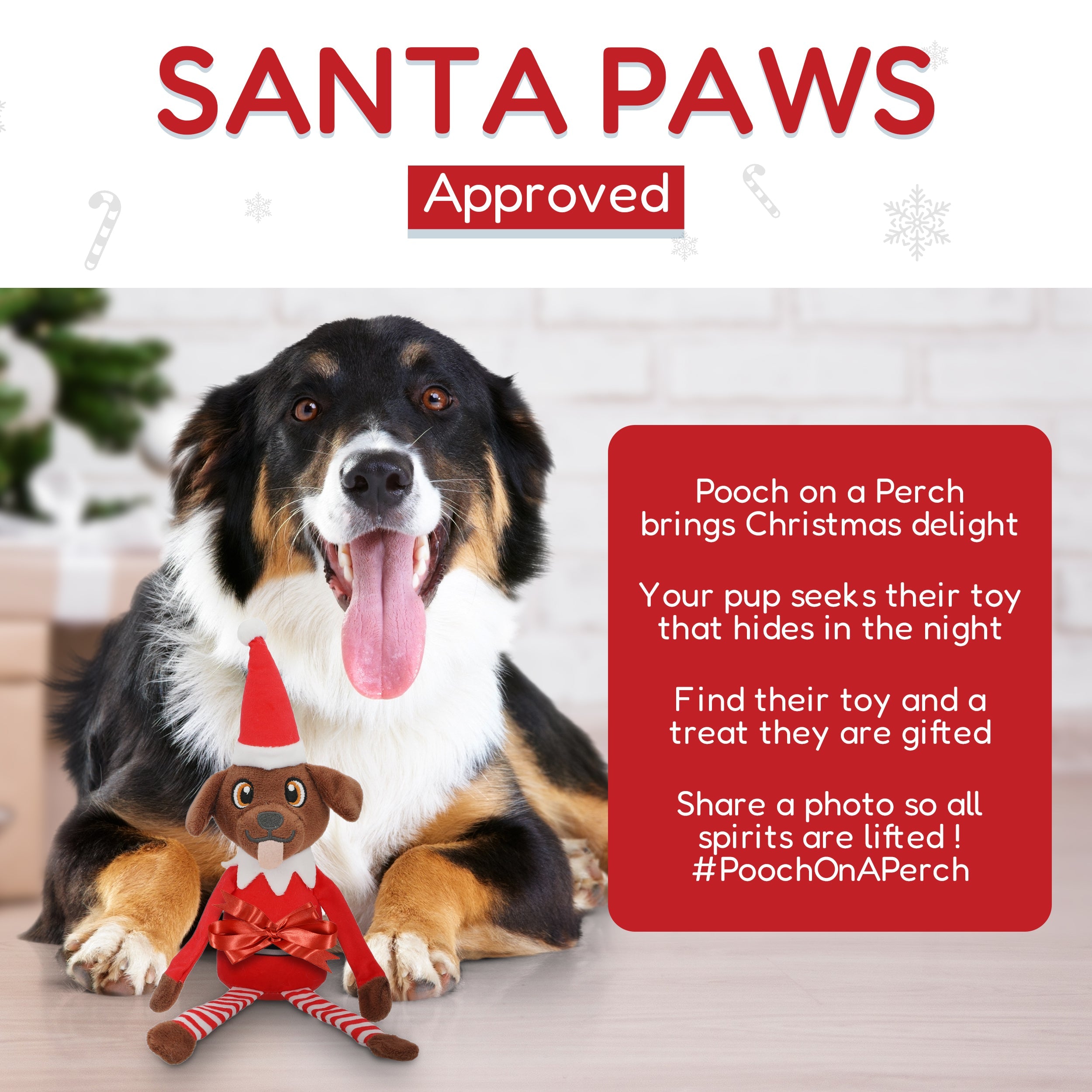 PUPROAR Pooch on a Perch | Elf Dog Toy
