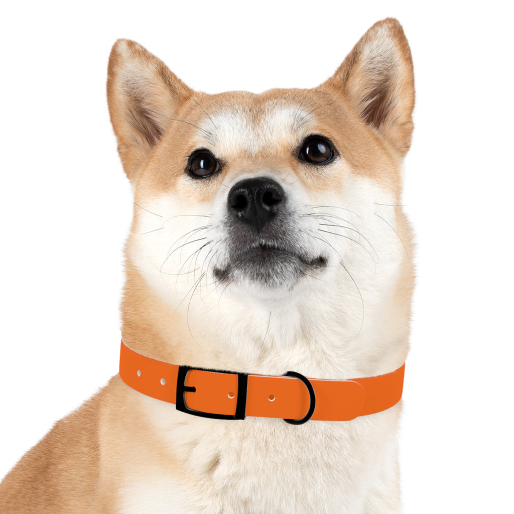Waterproof Dog Collar | Orange