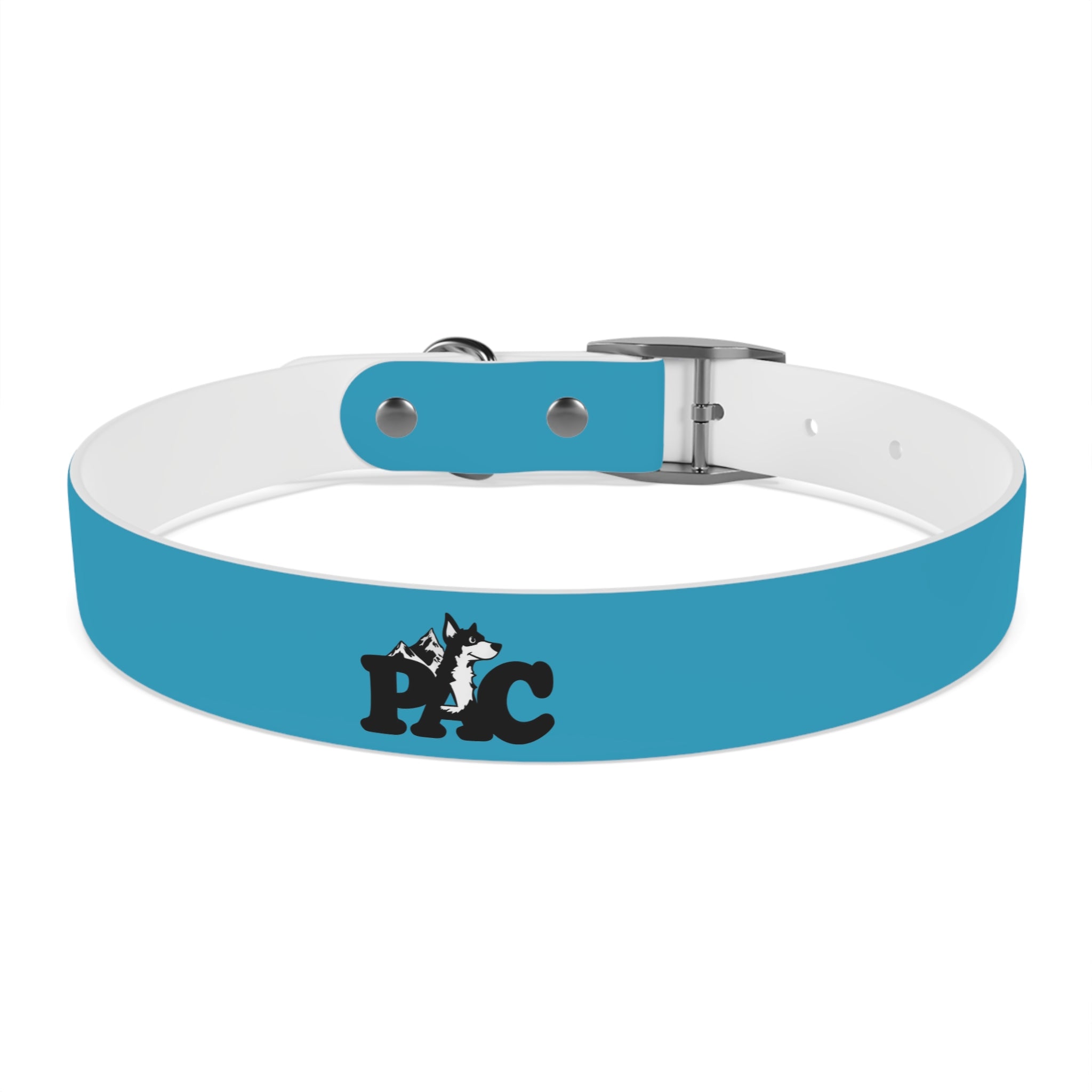 Waterproof Dog Collar | Turquoise