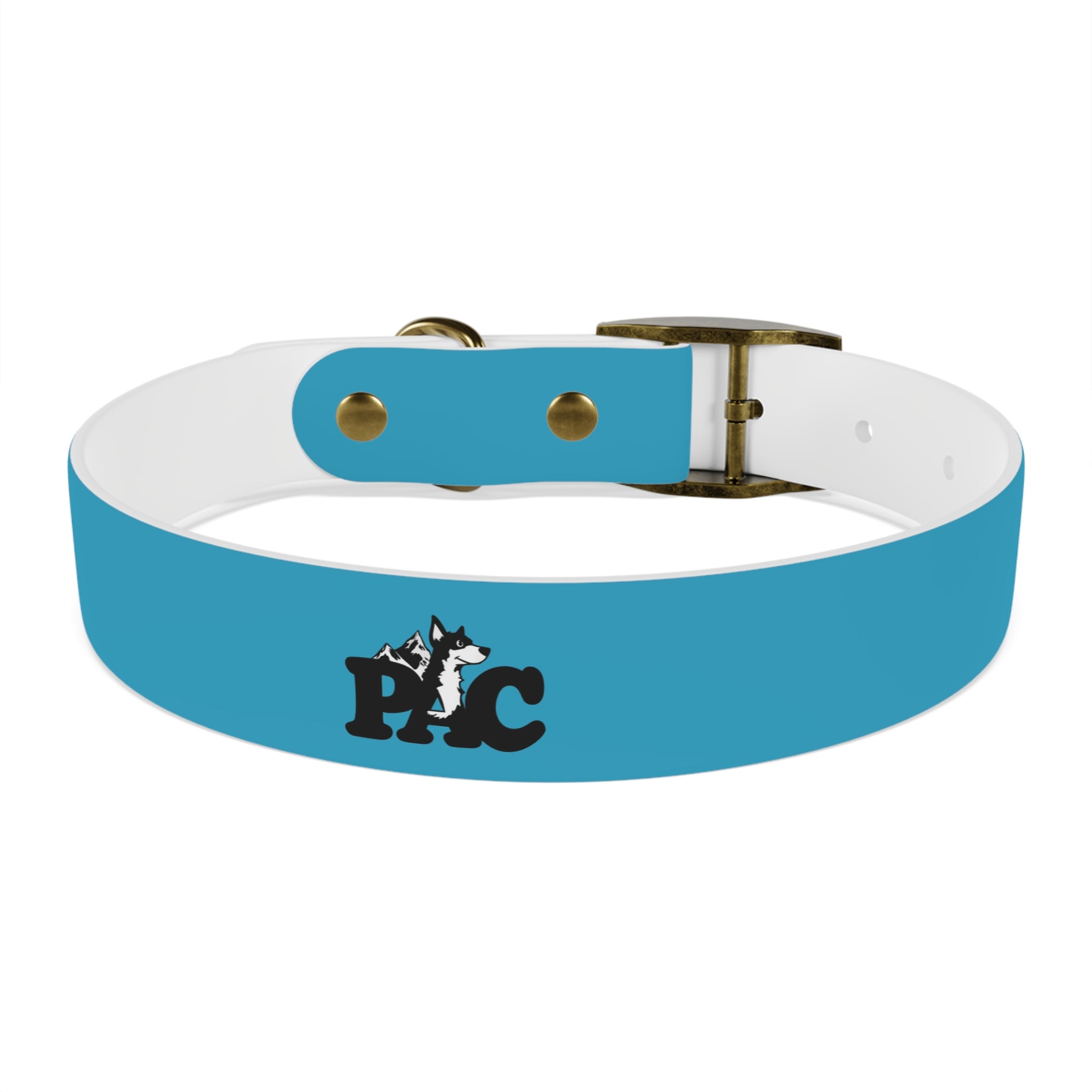 Waterproof Dog Collar | Turquoise