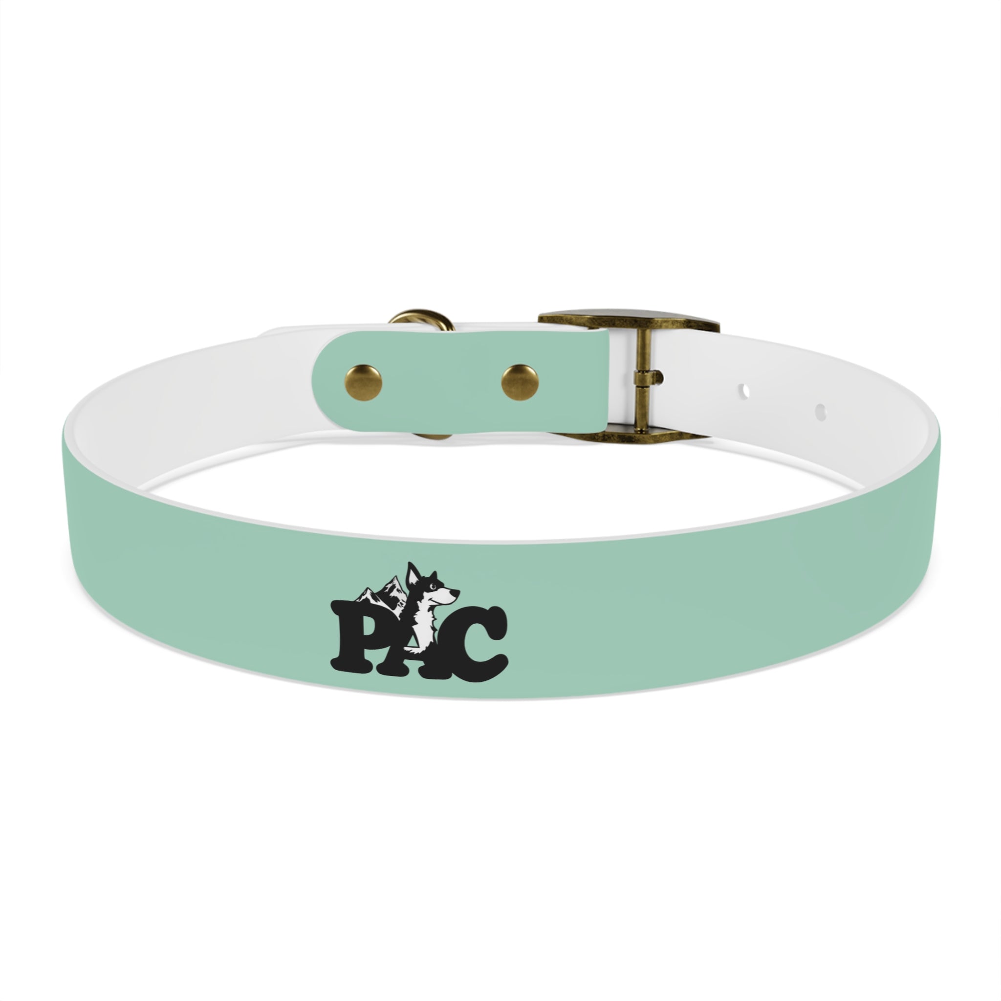 Waterproof Dog Collar | Mint