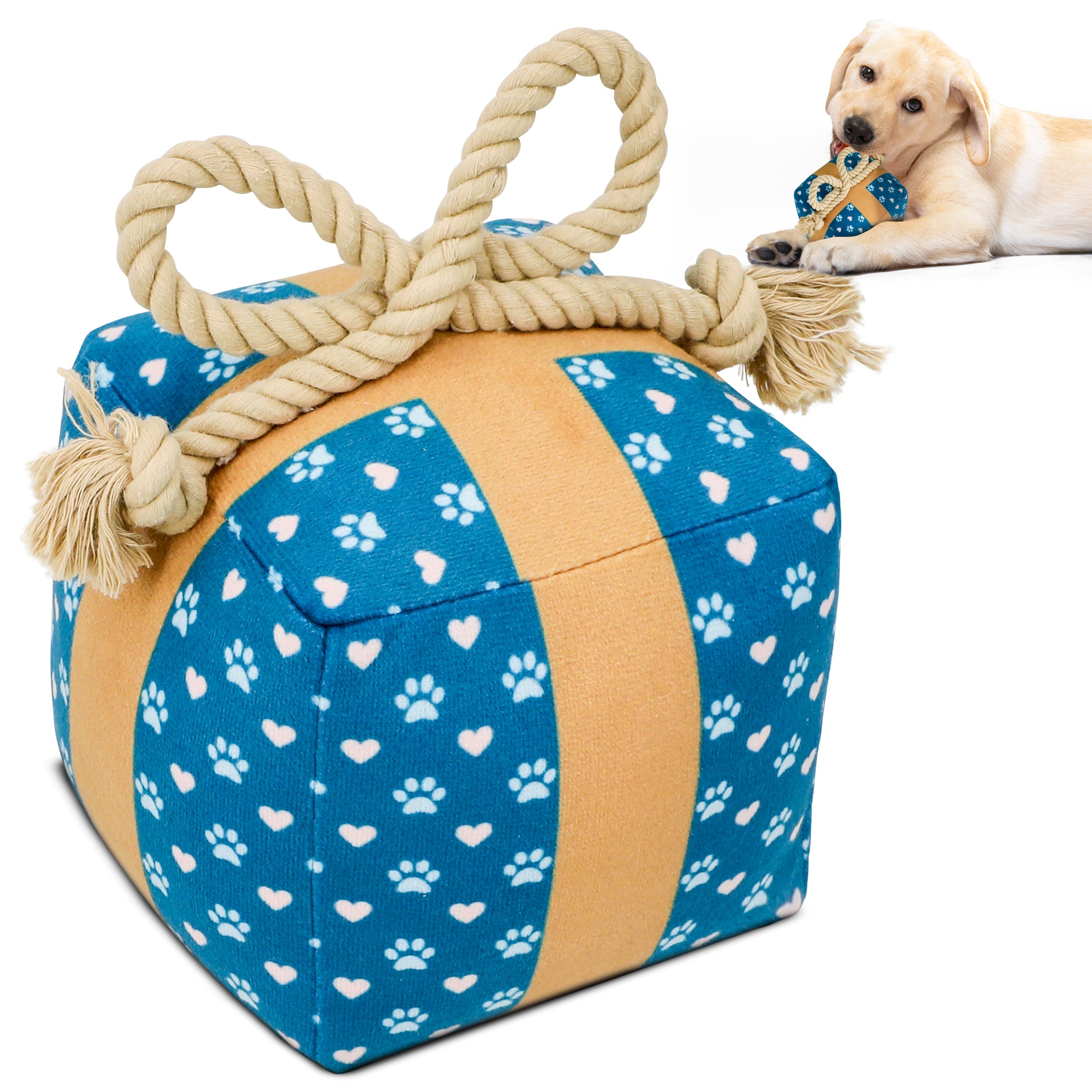 PUPROAR Gift Box Dog Toy