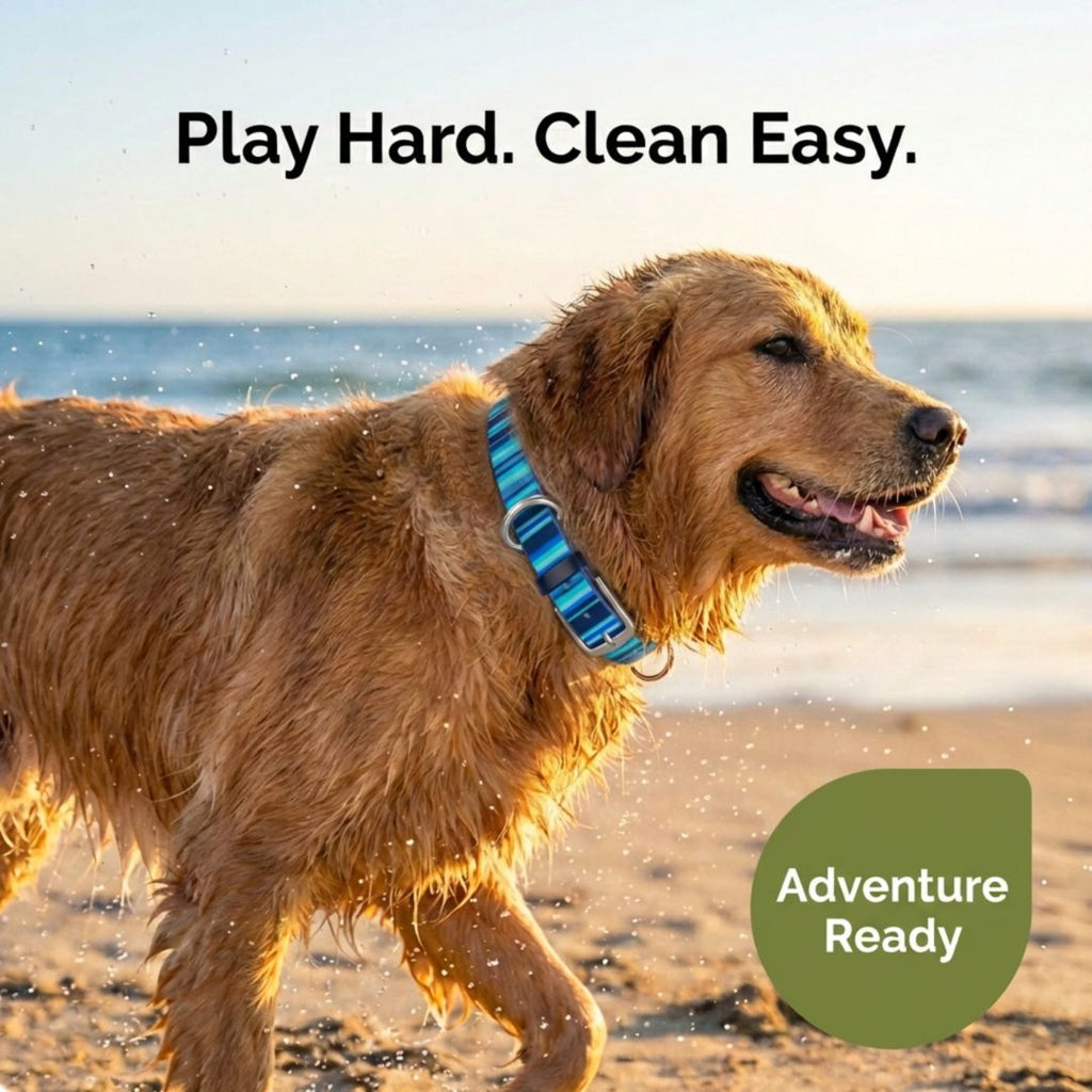 Waterproof Dog Collars