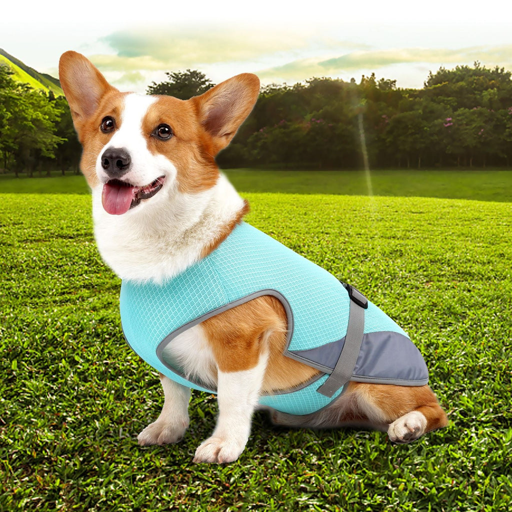 Dog Clothing Cooling Summer Vest for Hot Heat