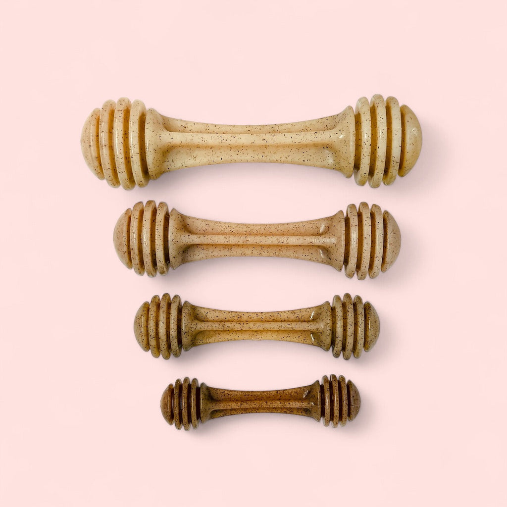 Honey Bone Nylon Dog Toy