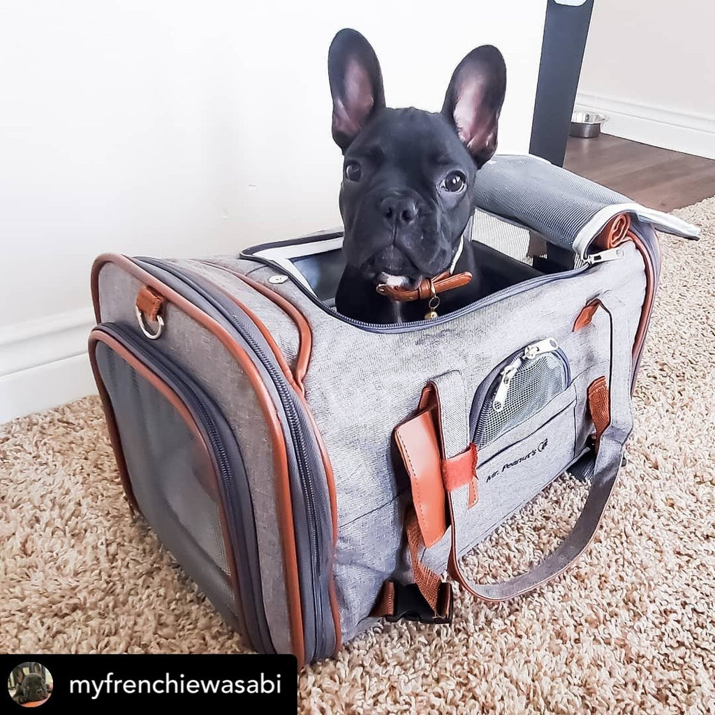 Mr. Peanut's Gold Series Airline Pet Carrier