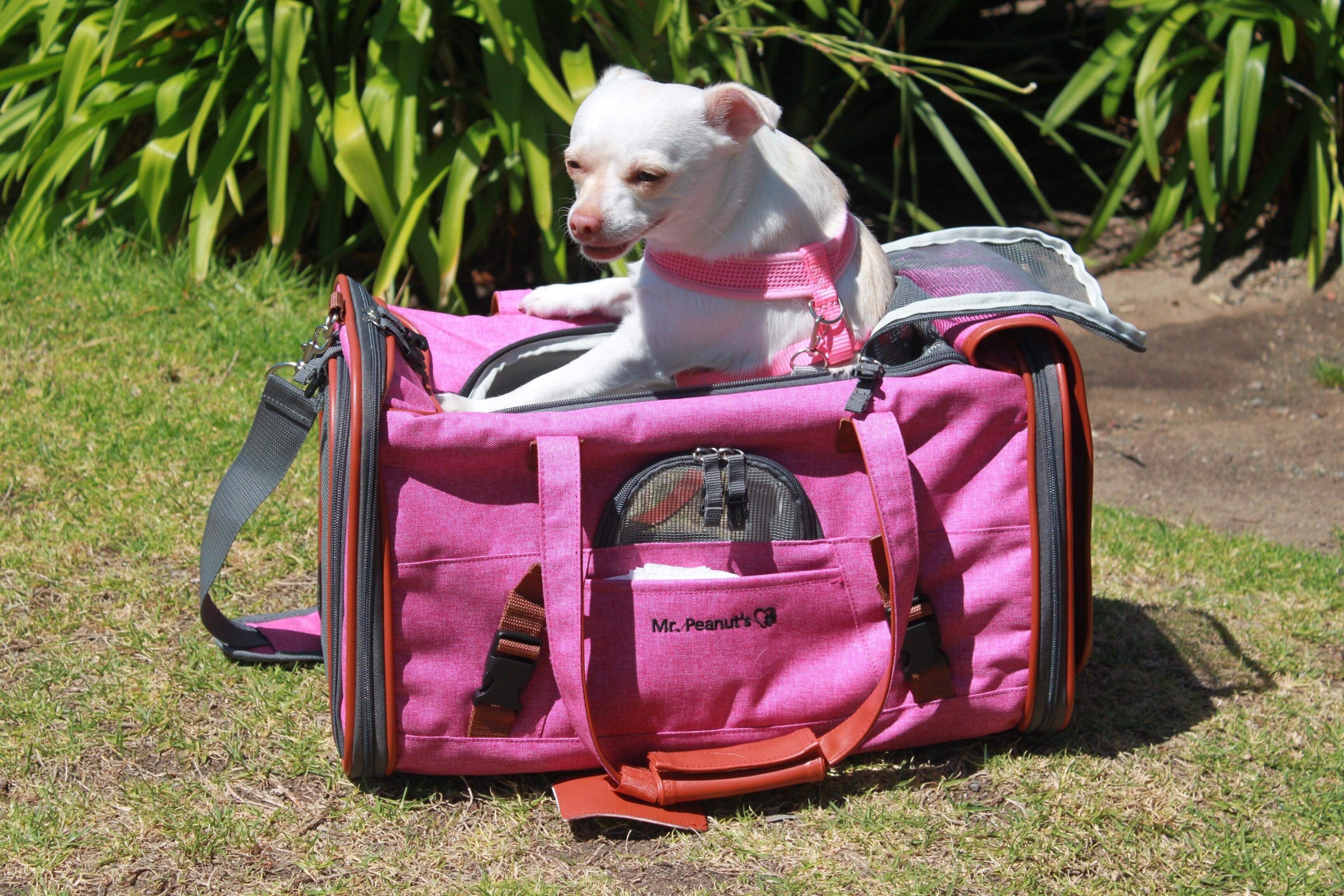 Mr. Peanut's Gold Series Airline Pet Carrier